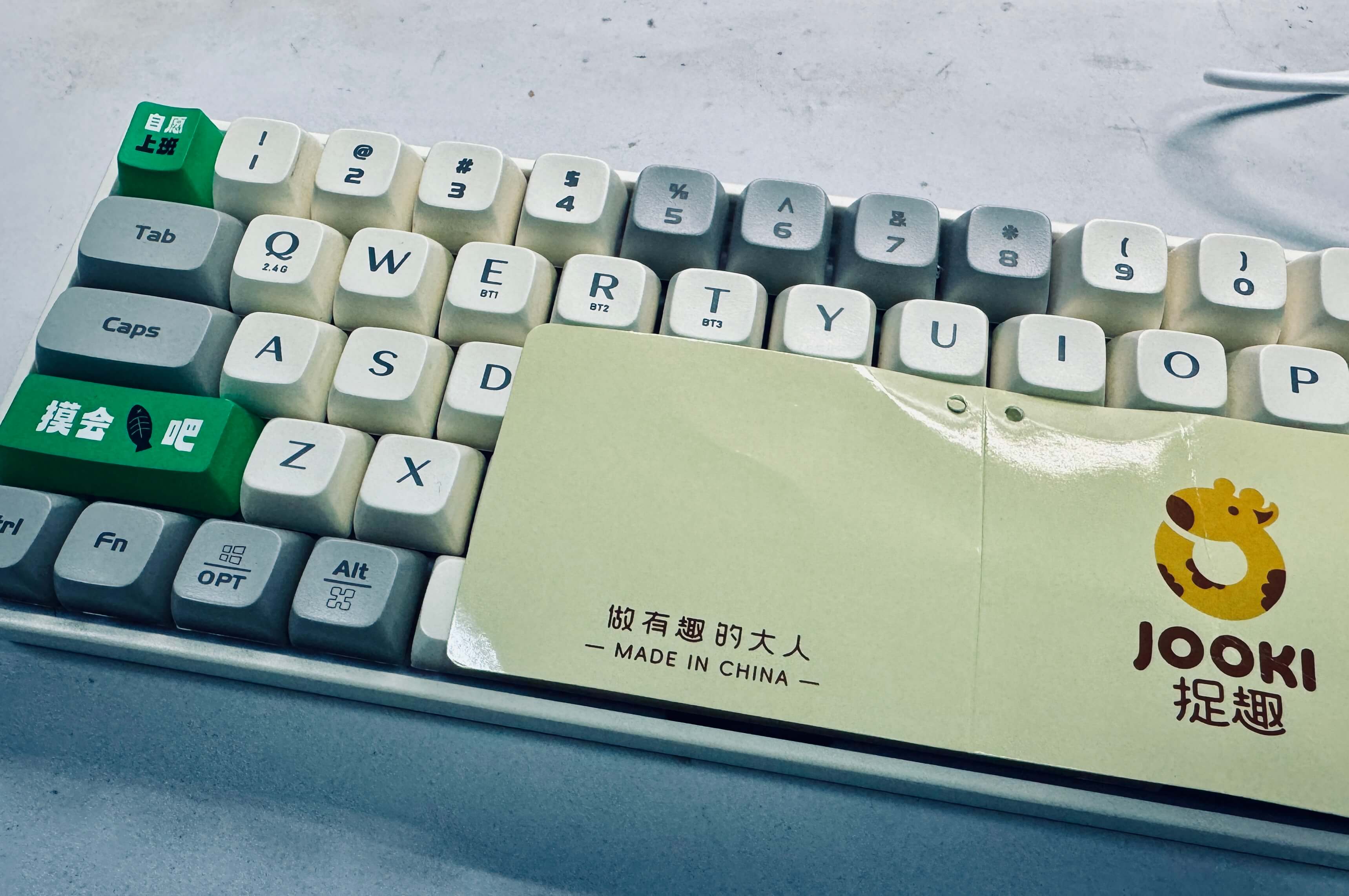 286.jpg
